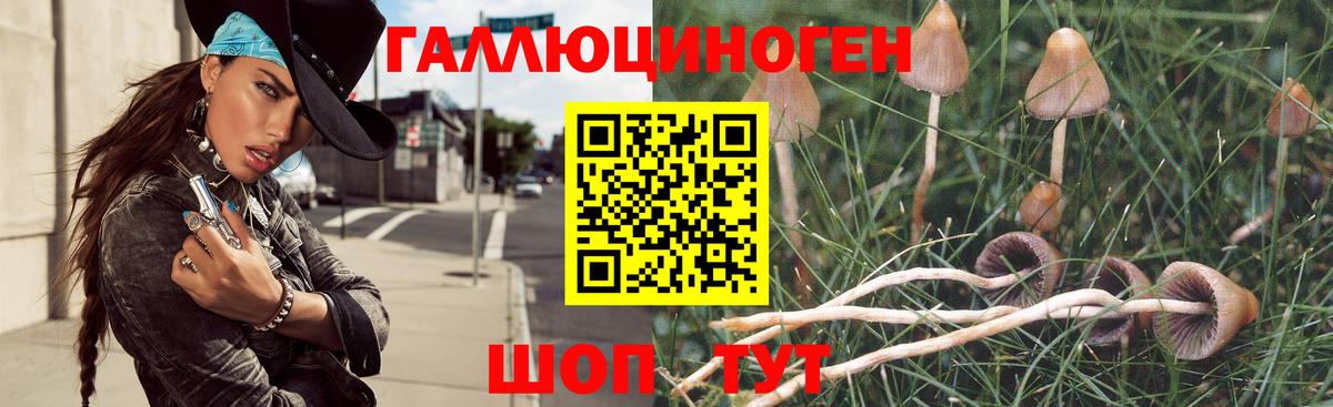 Новошахтинск  Галлюциногенные грибы мицелий  сколько стоит  Вход с VPN 